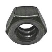 1/2" HEAVY COIL NUTS
